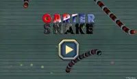 Garter Snake Screen Shot 0