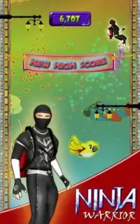 Ninja Warrior Screen Shot 3