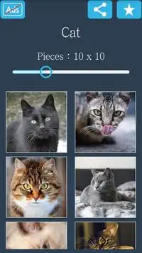 Jigsaw Puzzle: Cat Screen Shot 3