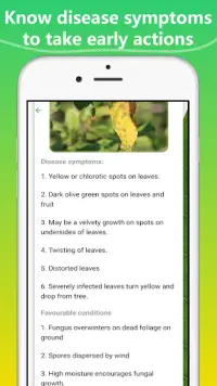 Plant Disease Identification app Screen Shot 5
