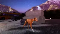 Simulator Anjing Greyhound Screen Shot 0