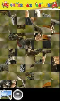 Animal Games Screen Shot 5