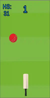 Hit Cricket Screen Shot 2