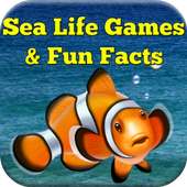Sea Life Games & Fun Facts