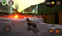 Simulateur de chien Doberman Screen Shot 10