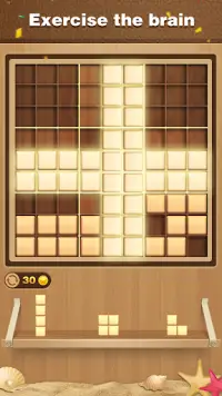 Wood Block Puzzle-Sudoku Puzzle Screen Shot 4