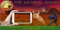 Deer Safari Hunter 2016 Screen Shot 1