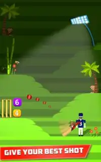 Mr. Bat: The Cricket Game Screen Shot 9