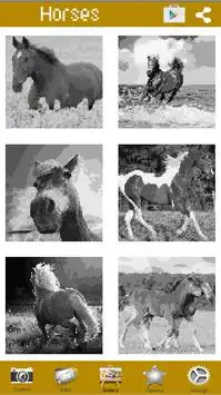 Horses Screen Shot 3