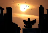 الملائكة ألعاب مجانية بانوراما الألغاز 🧩👼🧩👼🏽 Screen Shot 2