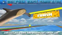 Dolphin Race Simulator Screen Shot 4
