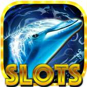 Dolphin Gold Slot Machines