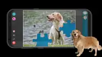 Golden Retriever Dogs Screen Shot 1