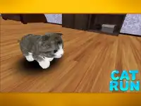 Cat Run Screen Shot 0