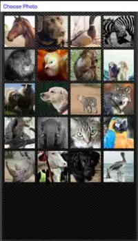 Animal Pic Puzzle Screen Shot 0