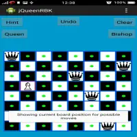 Chess Queen,Rook,Bishop & Knight Problem Screen Shot 3
