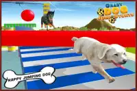 Crazy Dog Salto do con Screen Shot 3