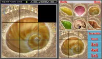 Magic Slide Puzzle Shells Screen Shot 4