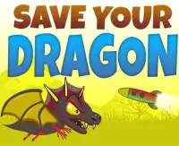Save Your Dragon Screen Shot 0