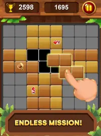 Hout blok Legende - Blokkeer Puzzel Screen Shot 12