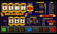 slot machine big stakes Screen Shot 3