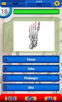 Anatomie Spaß Frei Quiz Screen Shot 5