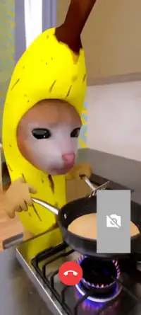 Videollamada Banana Cat Meme Screen Shot 1