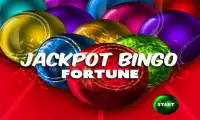 Jackpot Bingo Fortune Screen Shot 0