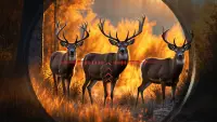Deer Hunter Wild Hunting Clash Screen Shot 3