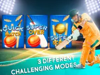 Indian cricket league 2019: 12 ° premier cup Screen Shot 0