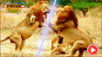 Lucha pk leones africanos Screen Shot 0