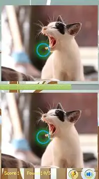 Tìm sự khác biệt Cat Games Screen Shot 2