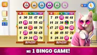 Pet Bingo: Bingo Game 2022 Screen Shot 0