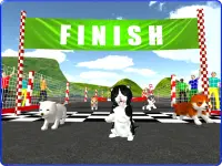 Cute Puppy Dog Racing Sim 2017 Screen Shot 9