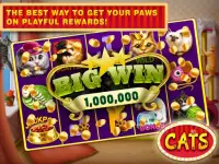 Cats Slots Casino Vegas Free Screen Shot 3