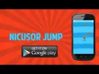 Nicusor Jump Screen Shot 0
