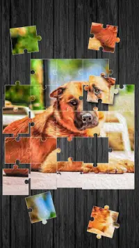 Cute Dogs Jigsaw Puzzle Screen Shot 1