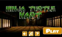 turtle kart Screen Shot 0