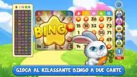 Bingo: Free the Pets Screen Shot 8