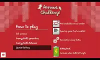 Arrows Challenge Screen Shot 7