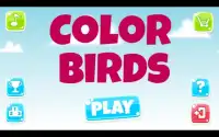 Color Birds Screen Shot 5