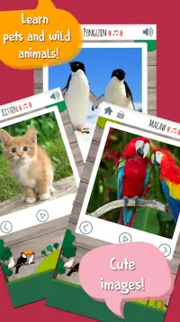Kids Zoo Game: Educational gam Screen Shot 1