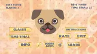 Dog Expert Math Training Screen Shot 6
