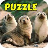 Animal Fun Puzzle