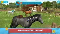 Horse World – Showjumping Premium - Fans équestres Screen Shot 3
