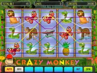 Crazy Monkey Deluxe Screen Shot 4