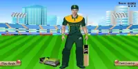 Cricket Team DressUp Screen Shot 4