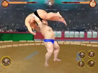 Sumo Wrestling Fighters: Sumotori Grand Tournament Screen Shot 8