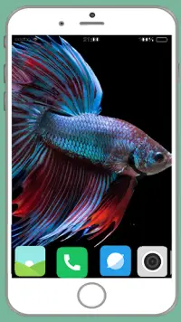 Fish Full HD Wallpaper Screen Shot 6
