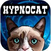 Hypno Cat